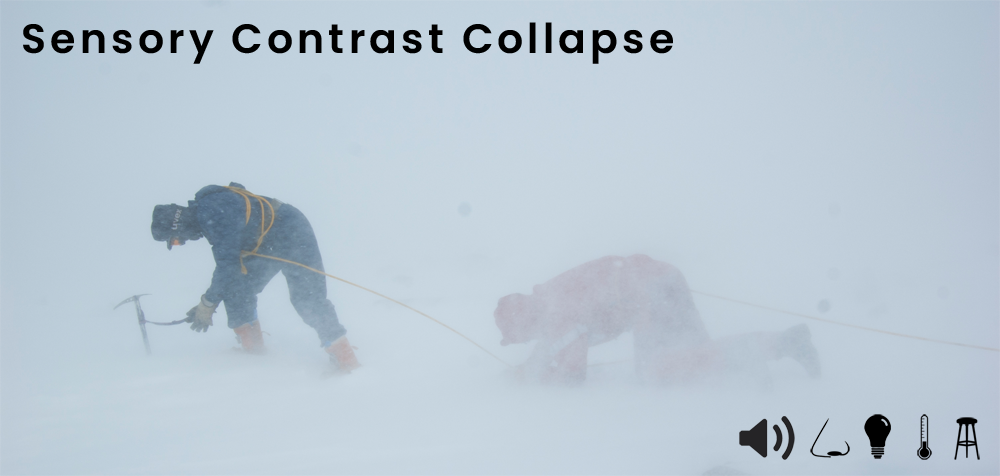 Sensory Contrast Collapse